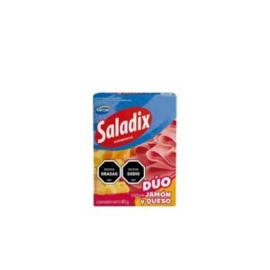 saladix 100gr jamon y queso